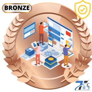 Website Bronze Plan